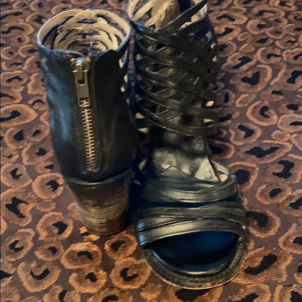 Free Bird by Steven “Wing” Style